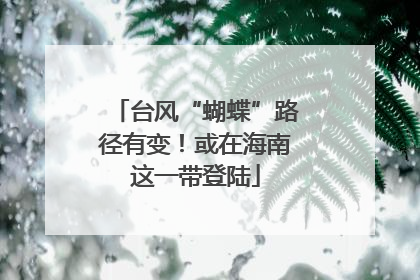 台风“蝴蝶”路径有变！或在海南这一带登陆